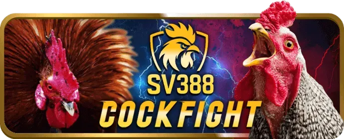 Khuyến Mãi Chào Mừng Thành Viên Mới new88bet